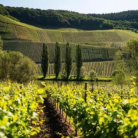 Apartment Weingut Claes Schmitt Erben Trittenheim