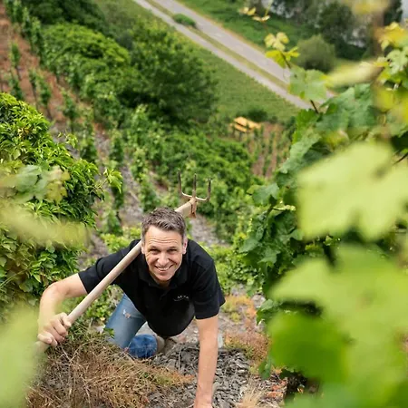 Claes Weinquartier - & Wein By Niko Schmitt *