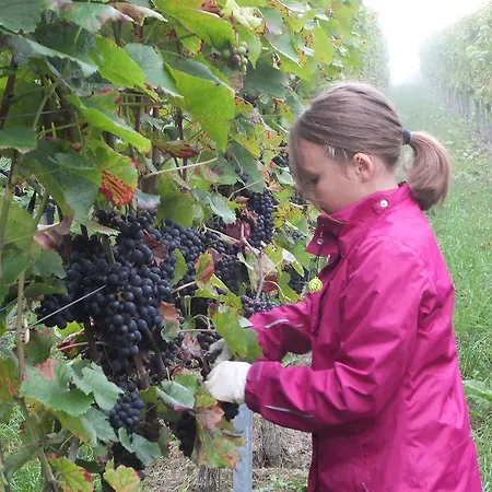Weingut Claes Schmitt Erben