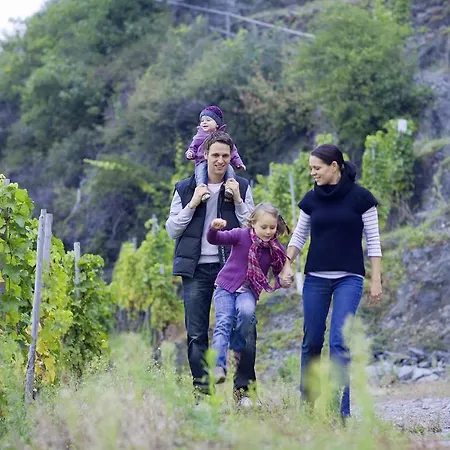 Claes Weinquartier - & Wein By Niko Schmitt Appartement