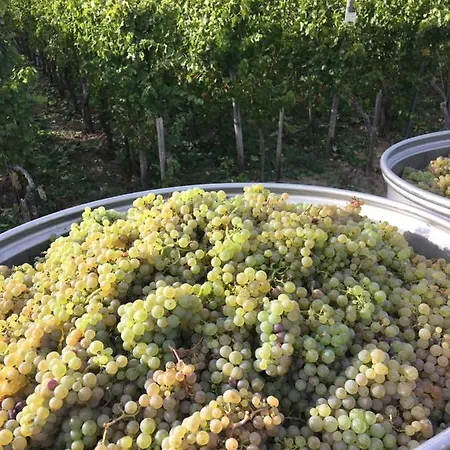 Claes Weinquartier - & Wein By Niko Schmitt * Trittenheim