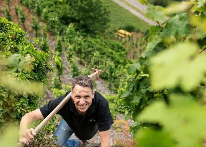 Claes Weinquartier - & Wein By Niko Schmitt *