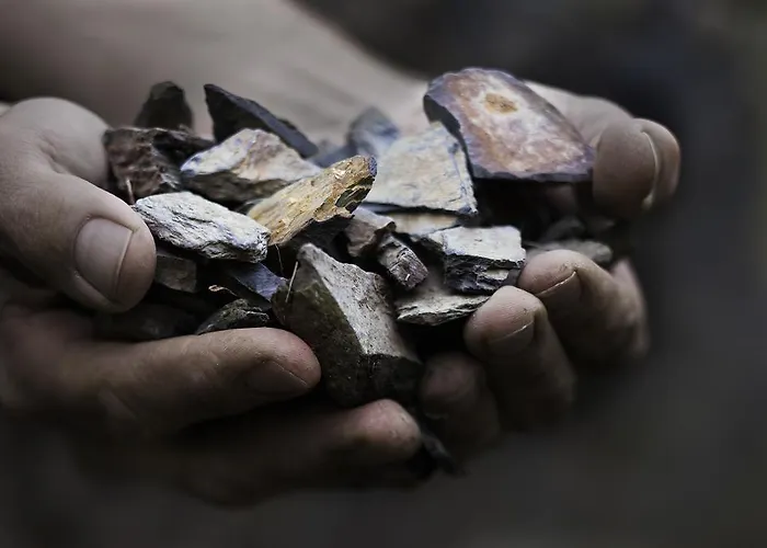 Apartment Claes Weinquartier - & Wein By Niko Schmitt